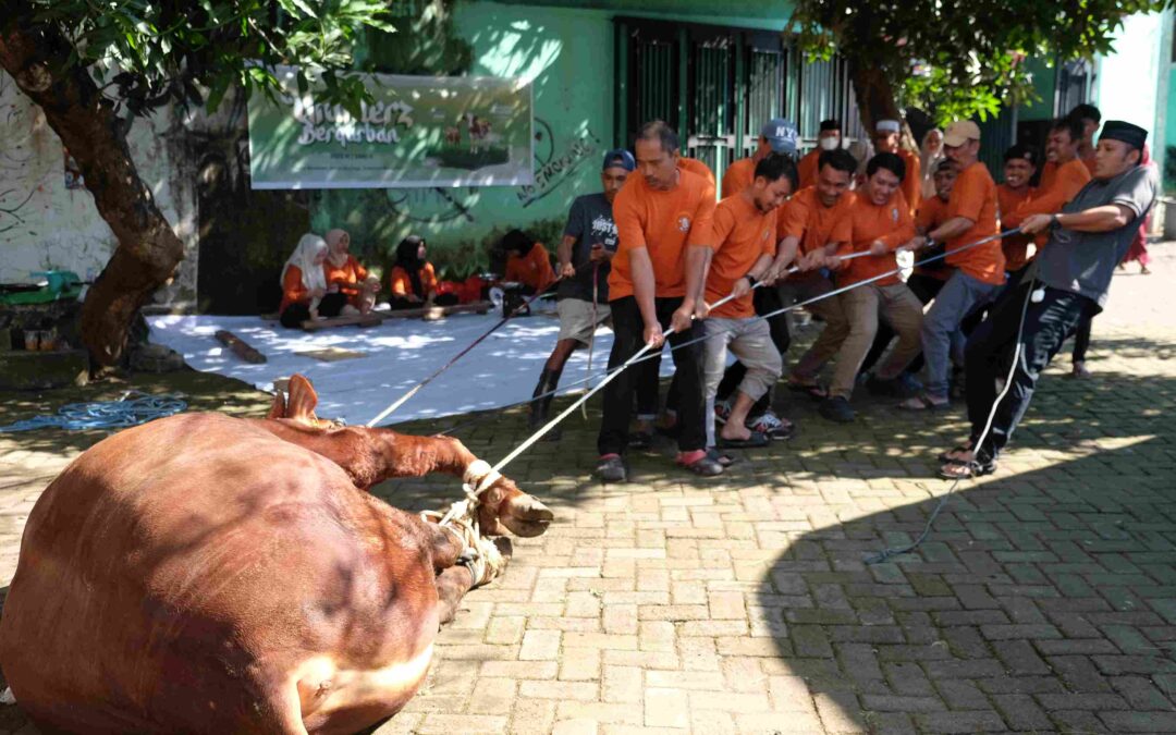 Universitas Megarezky Laksanakan Penyembelihan Hewan Qurban dalam Peringatan Idul Adha 1446 H